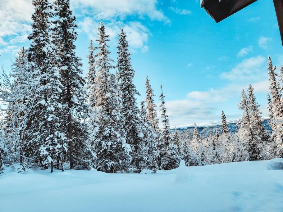 Peaceful Oasis. Panoramic Forest- & Mountain View. Sauna. Beitostolen エクステリア 写真